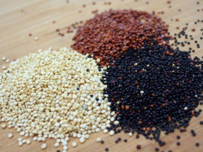 Hạt quinoa mĩ 3 màu Peru/ Ấn Độ